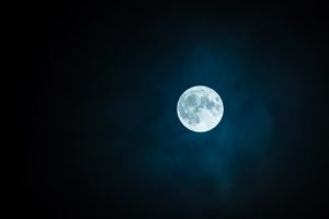 Lees meer over het artikel Op jacht naar je dromen met de Volle Maan in Stier